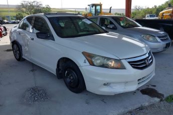 5KBCP3F80BB001274 | 2011 HONDA ACCORD