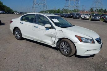 5KBCP3F82BB004712 | 2011 HONDA ACCORD