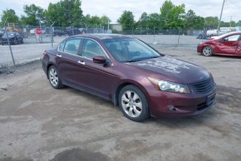 5KBCP3F83AB015863 | 2010 HONDA ACCORD