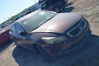 5KBCP3F86AB001889 | 2010 HONDA ACCORD