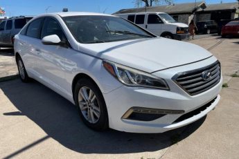 5NPE24AA1GH349101 | 2016 Hyundai sonata eco