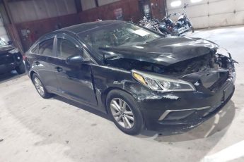 5NPE24AF4GH313396 | 2016 HYUNDAI SONATA