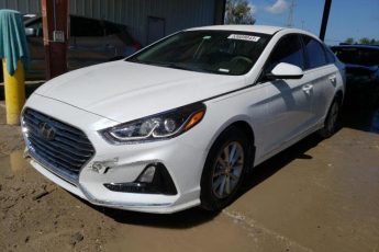 5NPE24AF4KH806892 | 2019 HYUNDAI SONATA SE