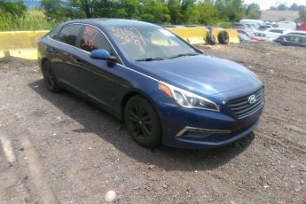 5NPE24AF7FH231290 | 2015 HYUNDAI SONATA