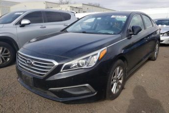 5NPE24AF7GH383569 | 2016 HYUNDAI SONATA SE