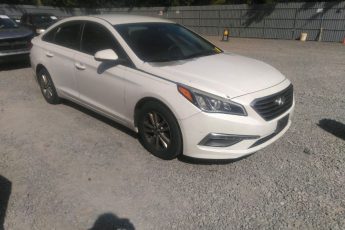 5NPE24AF8FH004125 | 2015 HYUNDAI SONATA