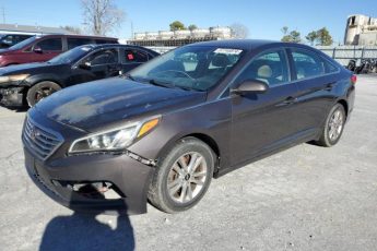 5NPE24AF9FH245157 | 2015 HYUNDAI SONATA SE