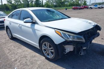 5NPE24AFXGH322264 | 2016 HYUNDAI SONATA