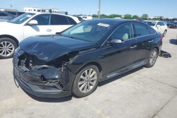 5NPE34AF8GH356233 | 2016 Hyundai sonata sport