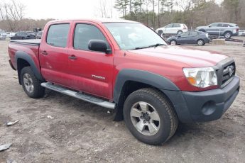 5TELU42N38Z502336 | 2008 TOYOTA TACOMA