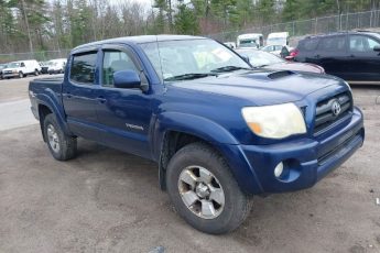 5TELU42N87Z416535 | 2007 TOYOTA TACOMA