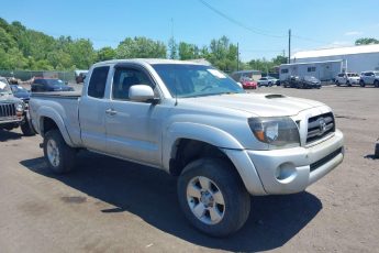 5TEUU42N85Z109724 | 2005 TOYOTA TACOMA