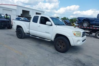 5TEUU42N96Z242400 | 2006 TOYOTA TACOMA