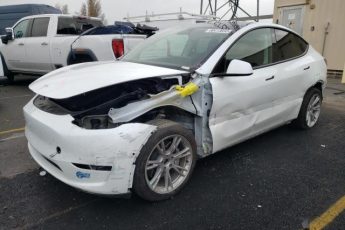 5YJYGDEE5MF239674 | 2021 TESLA MODEL Y