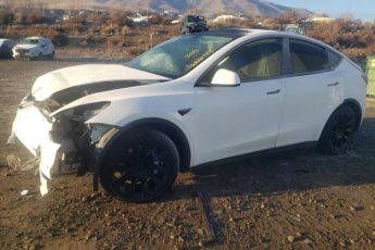 5YJYGDEEXLF040392 | 2020 TESLA MODEL Y