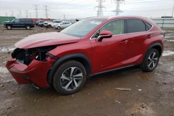 JTJBARBZ1K2213145 | 2019 LEXUS NX 300 BAS