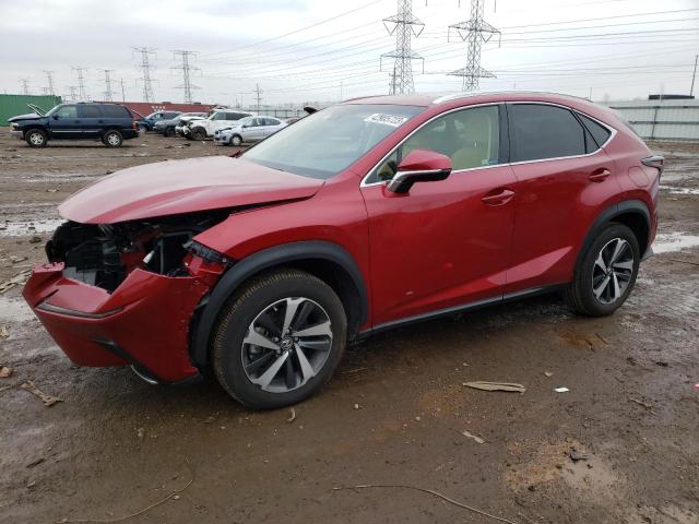 JTJBARBZ1K2213145 | 2019 LEXUS NX 300 BAS