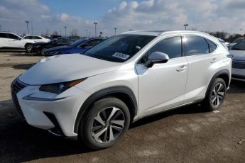 JTJBARBZ2K2191317 | 2019 LEXUS NX 300 BAS