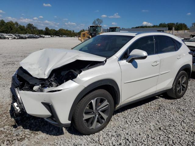 JTJBARBZ9K2198149 | 2019 LEXUS NX 300 BAS