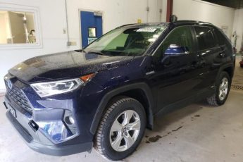 JTMRWRFV1LJ046500 | 2020 TOYOTA RAV4 XLE