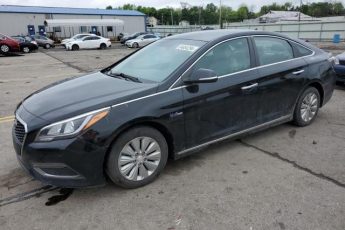 KMHE24L14GA031277 | 2016 Hyundai sonata hybrid