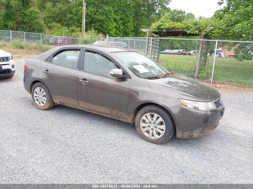 KNAFU4A21A5193220 | 2010 KIA FORTE