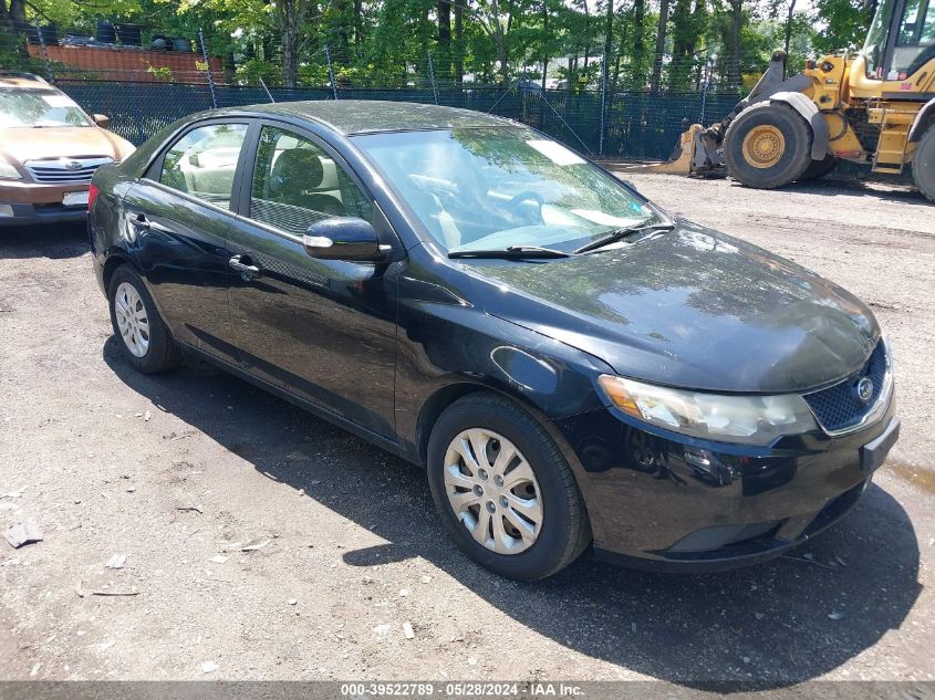 KNAFU4A26A5219858 | 2010 KIA FORTE