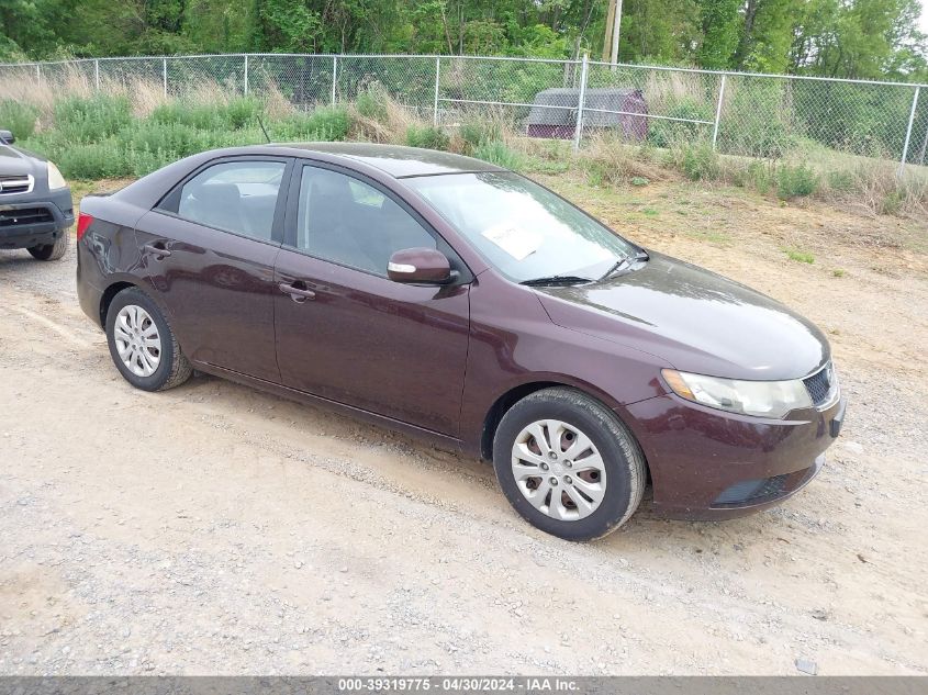 KNAFU4A27A5818509 | 2010 KIA FORTE