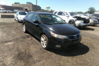 KNAFW5A34B5408695 | 2011 KIA FORTE