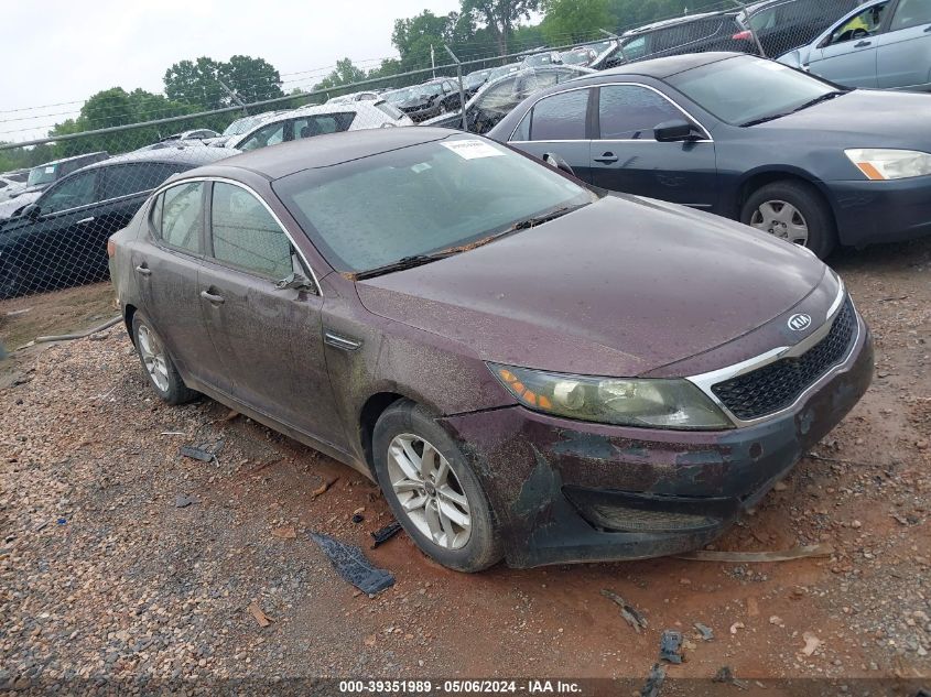 KNAGM4A73B5177554 | 2011 KIA OPTIMA