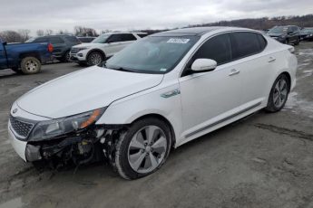 KNAGN4AD5F5084446 | 2015 KIA optima hybrid