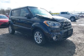 KNDJT2A64D7621913 | 2013 KIA SOUL