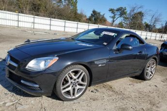 WDDPK4HA6DF064310 | 2013 MERCEDES-BENZ SLK 250