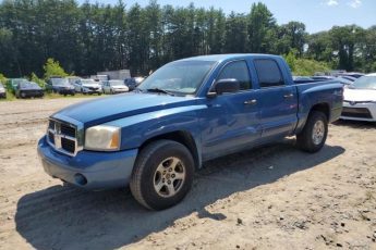 1D7HW48N95S260665 | 2005 Dodge dakota quad slt