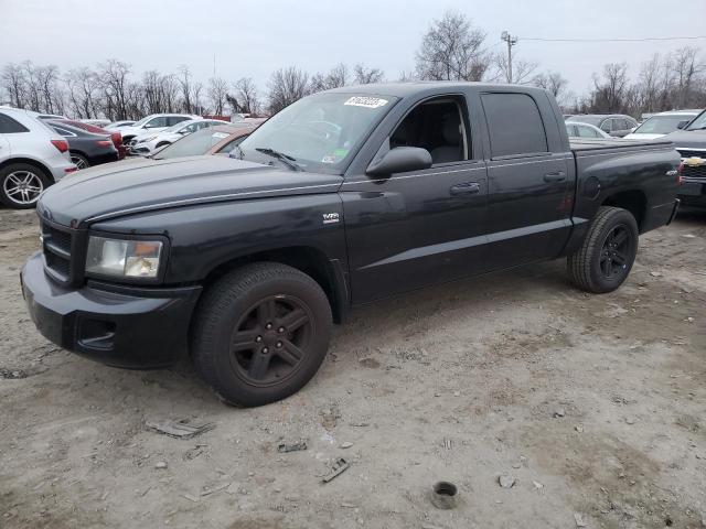 1D7RW3GP2BS592704 | 2011 Dodge dakota slt