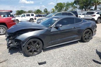 1FA6P8TH5K5146816 | 2019 Ford mustang