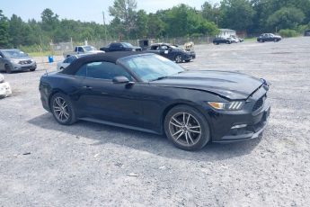 1FATP8UH4G5318651 | 2016 FORD MUSTANG