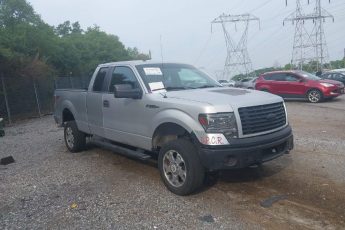 1FTEX1EM2EKE35522 | 2014 FORD F-150