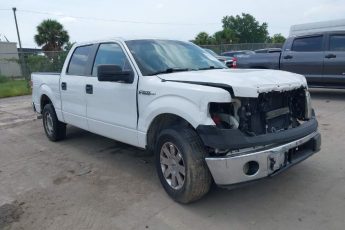 1FTFW1CF2EKF39651 | 2014 FORD F-150