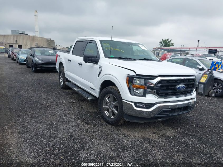 1FTFW1ED4PFA38994 | 2023 FORD F-150