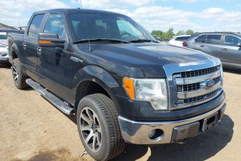 1FTFW1EF4DKD98187 | 2013 FORD F-150