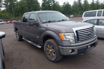 1FTFW1ET1CFC05698 | 2012 FORD F-150