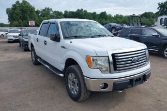 1FTFW1EV8AKC01038 | 2010 FORD F-150