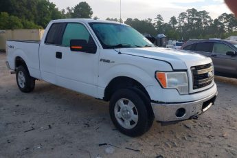 1FTFX1EF9DFB87671 | 2013 FORD F-150