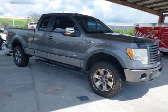 1FTFX1ET1BFB19139 | 2011 FORD F-150