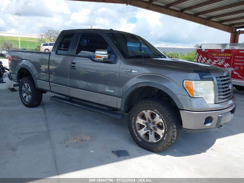 1FTFX1ET1BFB19139 | 2011 FORD F-150