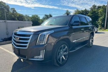 1GYS4BKJ0GR113669 | 2016 Cadillac escalade luxury