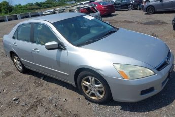 1HGCM56387A065586 | 2007 HONDA ACCORD