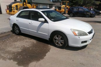 1HGCM56673A053210 | 2003 HONDA ACCORD