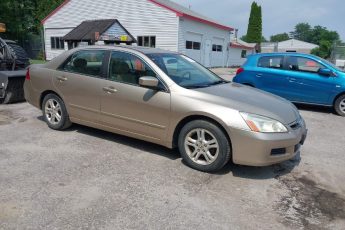 1HGCM56886A002160 | 2006 HONDA ACCORD